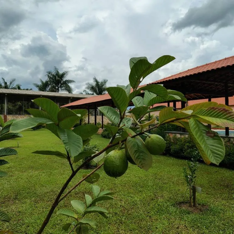 Galeria Estância Preguiça