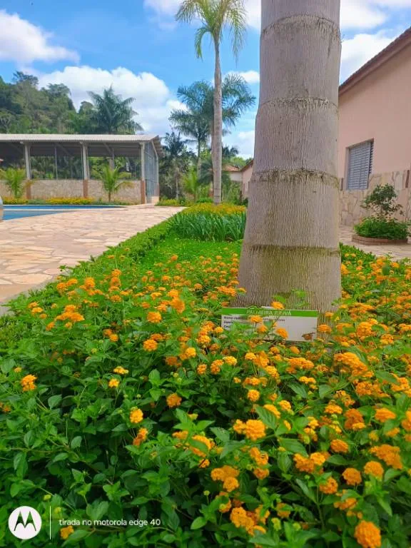 Galeria Estância Preguiça